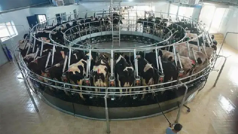 welcome-���ֲ�