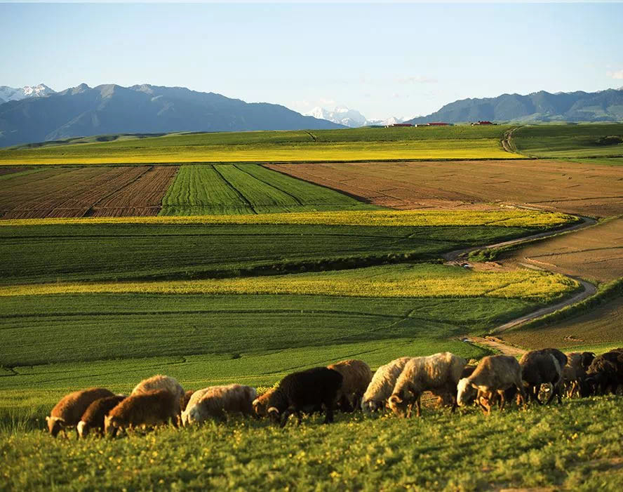 welcome-���ֲ�