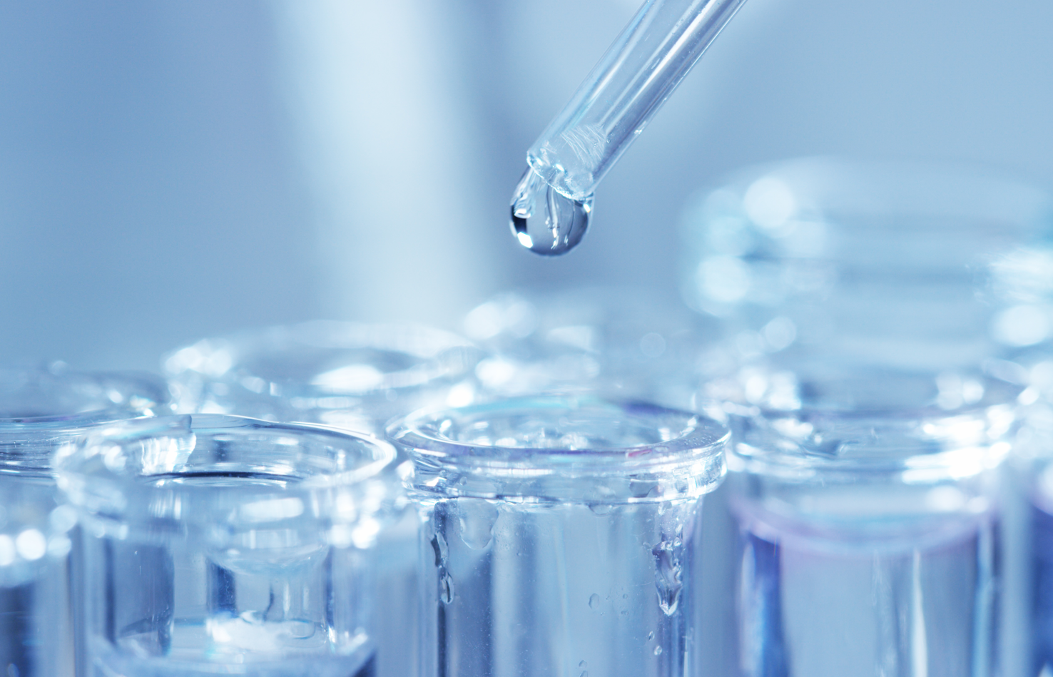 welcome-���ֲ�