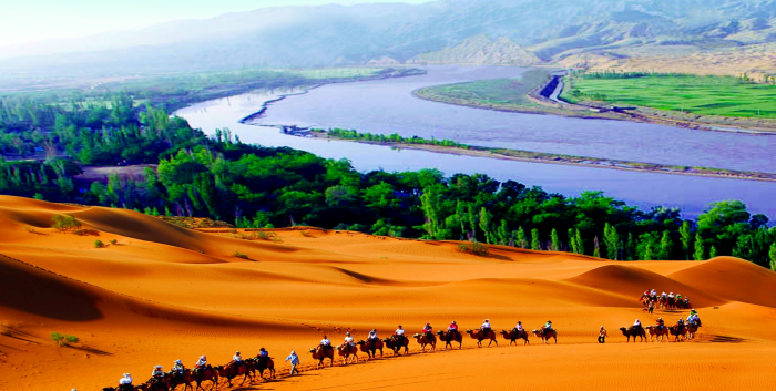 welcome-���ֲ�